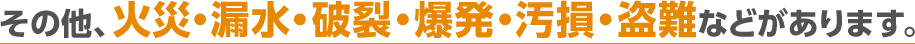 その他、火災・漏水・破裂・爆発・汚損・盗難などがあります。